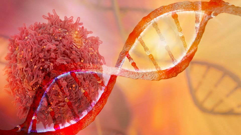 Kansere Genel Bakış